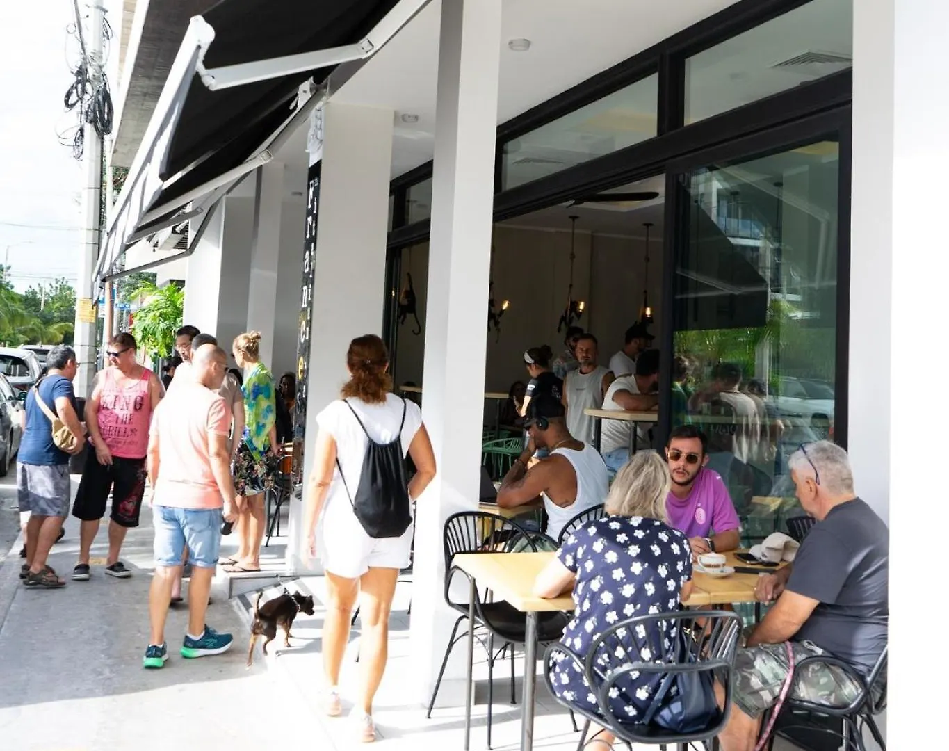 1 Bd Apt Top Location! Gym, Pool Playa del Carmen Apartamento